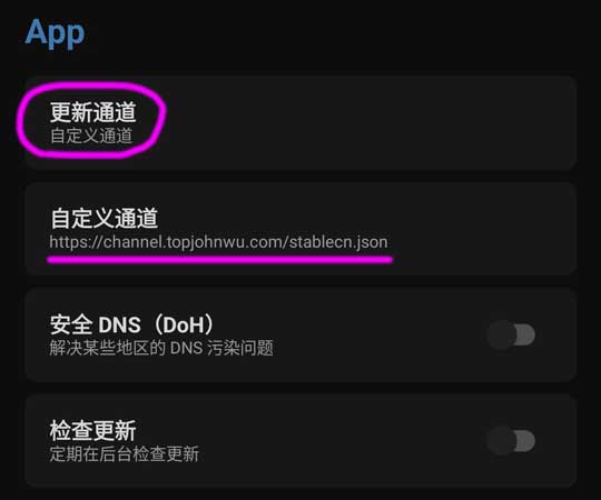 Magisk更新通道（自定义通道）插图