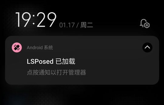 打开 LSPosed