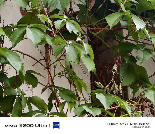 将相机的灵魂注入到手机之中 vivo X200 Ultra评测插图43